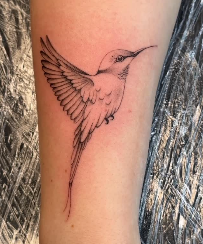 Fineline-Kolibri am Unterarm